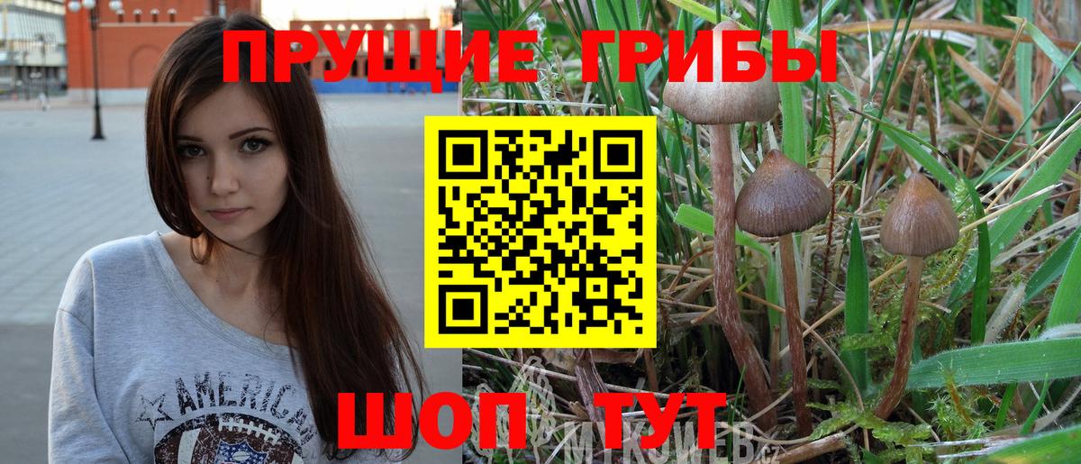 Галлюциногенные грибы MAGIC MUSHROOMS Чусовой