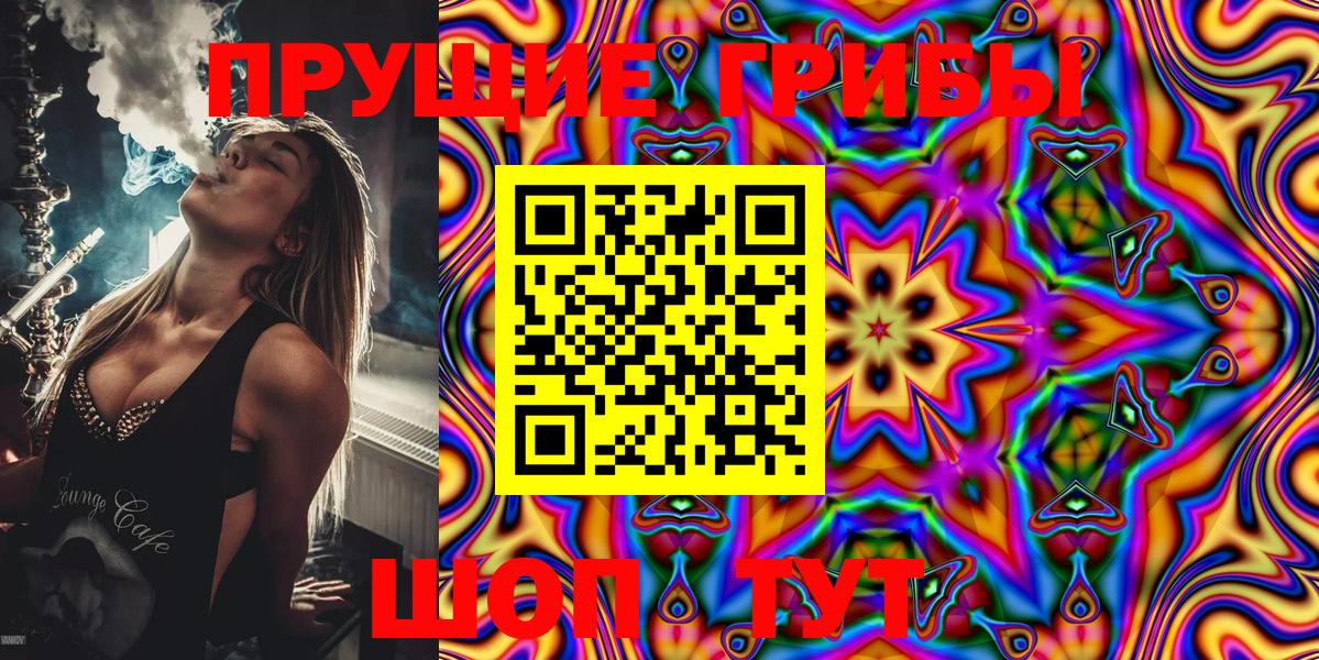Псилоцибиновые грибы ЛСД  Вход с VPN  Чусовой  Галлюциногенные грибы Psilocybe 